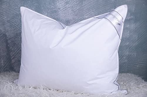 Eastwarmth Goose Feathers Down Pillows for Sleeping, Hotel Collection Bed Pillow with Grey Piping Queen Size (20X30IN) 1 Pack