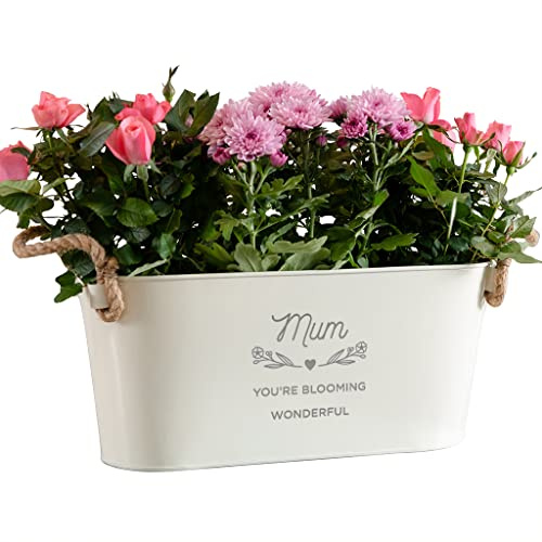 ‘Mum You’re Blooming Wonderful’ | Engraved Grannies Garden Plant Pots Outdoor Indoor For Mummy | Gifts For Grandma's Birthday | Garden Pots and Planters