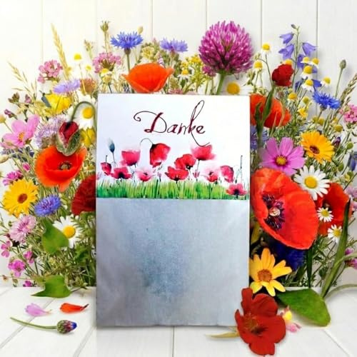 5 Danke-Seedballs - Naturnahes Gastgeschenk & kleine Aufmerksamkeit