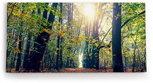 Paul Sinus Wandbild 120x60cm Wald Bäume Baumkronen Sonnenschein Natur Grün