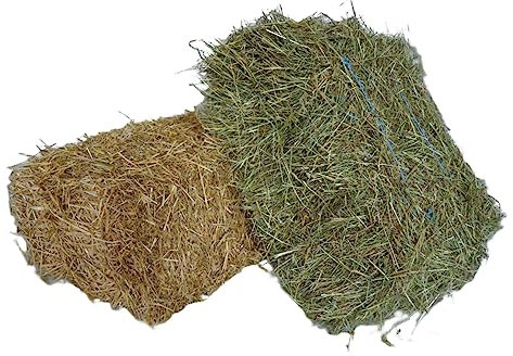 agrar-Store 10kg Stroh + 10kg Heu - Kombination - Strohballen Heuballen Kaninchenstroh Meerschweinchenstroh Kaninchenheu Meerschweinchenheu