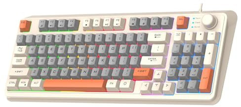 Lancoon Teclado con Cable para Juegos Mecánico con 94 Teclas 3 Colores Mezclados Efecto de Iluminación Fresco Soporte Ajustable Función Multimedia para PC Ordenador (Blanco)