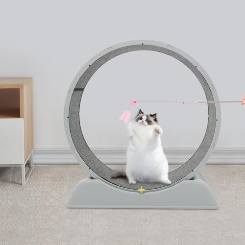 LOYEMAADE Katzenlaufrad Leise Katzen Laufrad für Wohnungskatzen,80cm Großes Cat Running Wheel mit Verriegelungsmechanismus,Cat Teaser