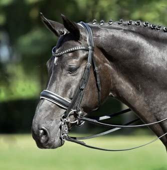 Busse solibel Kandare Grand Prix Vollblut, schwarz (weiß), Beschlag: Strass