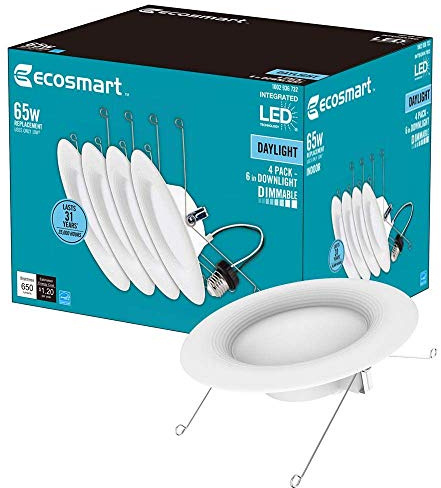 EcoSmart 5/6 in. Daylight Integrated LED Recessed Trim (4-Pack)