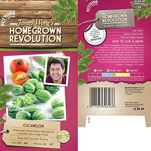 Cucamelon Seeds Half-Hardy Annual Easy to Grow Your Own Sun Loving Garden Herb 1x Seed Packet (Aprox 12 Seeds) by Suttons