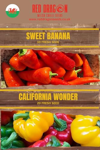 Sweet Pepper Seeds Double Pack - Sweet Banana & California Red Sweet Pepper Seeds - 30 Fresh Seeds