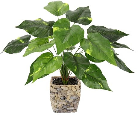 Künstliche Pothospflanze im Korb Pothos Pflanze Goldene Efeutute Zimmerpflanze Kunst Deko Seidenblume Real Touch grün Kunstpflanze Kunstblume Blattpflanze Dekopflanze Grünpflanze Busch Aronstabgewächs