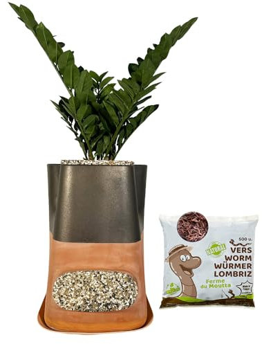 Moutta｜Transfarmers Pot de Fleurs et lombricomposteur en Terre-Cuite Métal Choco 17L｜Pack avec 250gr de vers de Compost