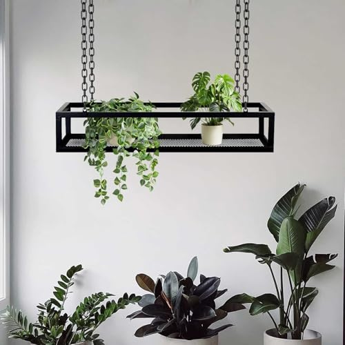 SXBHDM Ceiling Hanging Plant Shelves Flower Pot Stand, Grid Base Plate Floating Rack, Indoor Windows Wall Hanging Plant Stand for Grow Herbs, Microgreens, Succulents(60x25x15cm)