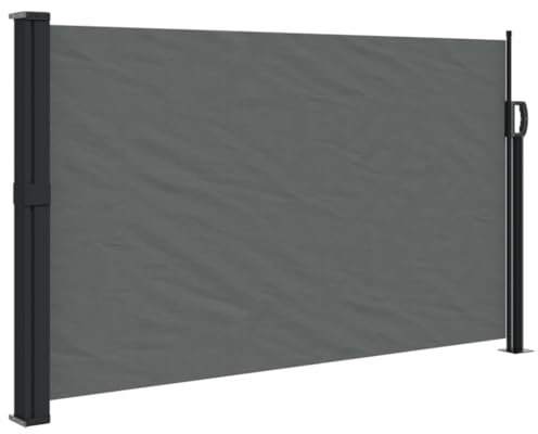 Anthrazit Seitenmarkise 120x300 cm, kangmusi4004293