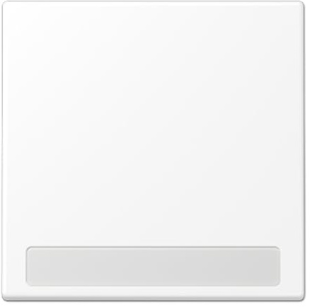 Tecla simple con visor/inscr LS, color blanco mate (referencia: JUNG LS990NAWWM)