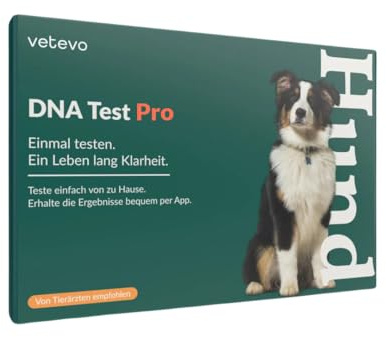 vetevo DNA Test Hund Pro - Rassenbestimmung - 350+ Hunderassen | Herkunft & Stammbaum per Speichelprobe, Auswertung in der App, für Mischling, Straßenhund & reinrassige Tiere
