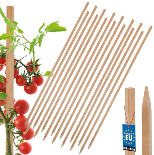 KOTARBAU® 15er Set Pflanzstäbe - 100 cm - Tomaten & Gurken Rankhilfe - Tomatenstäbe - Holzpfähle - Holzstäbe - Pflanzenstütze - Holzpfosten - Angespitzt - Rankstab aus Buchenholz - Natürlich