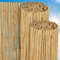 Sol Royal Estera jardín de caña Natural SolVision S36 120 x 600 cm (A x L) protección Visual y privacidad para Valla o balcón terrazas Balcones barandas Junco