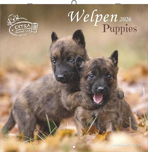 Alpha Edition - Welpen Kalender 2026 – Wandkalender 30x30 cm (30x60 cm geöffnet) – Für Hundeliebhaber – 12 süße Hundefotografien, viel Platz für Notizen, mit Feiertagen & Ferienterminen: Puppies