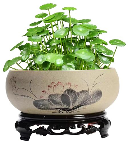 Hperu Fioriera a ciotola, fioriera in ceramica con motivo loto 6, 5x2, 6, con base in plastica, vaso per piante squisito e rustico, per loto, ninfee, piante acquatiche,