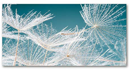 Tulup Leinwandbild - Wandkunst - Drucke auf Leinwand - Leinwanddruck -100x50 cm - Blumen & Pflanzen - Weiß - Pusteblume