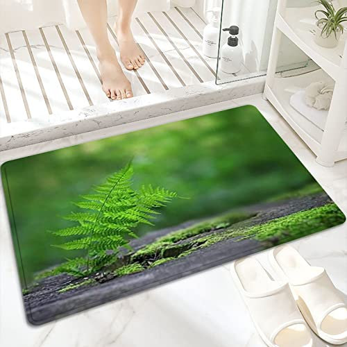 Badematte, rutschfest Waschbar Badezimmerteppich 60x100 cm,Farn Tropical New Growing Springtime On Mossy ,Badvorleger mit Wasserabsorbierenden, Weichen Mikrofasern für Badewanne, Dusche und Badezimmer