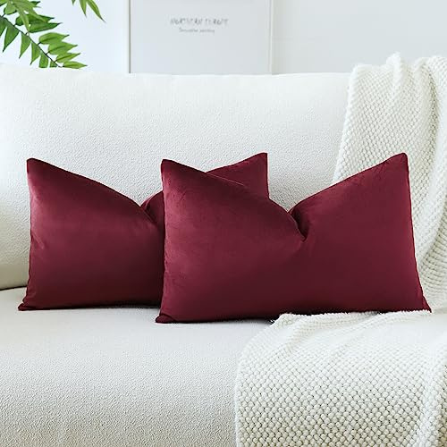 JOTOM Samt Kissenbezug Kissenhülle Sofakissen Dekokissen Kissenbezüge für Sofa Wohnzimmer Schlafzimmer 2er Set 40x60 cm Bordeaux