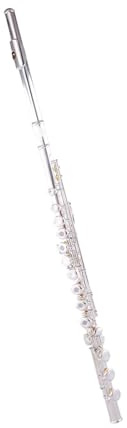 Flûte Instrument de musique tête de flûte en argent 17 trous ouvert queue B débutant Performance professionnelle flûte à pas Variable