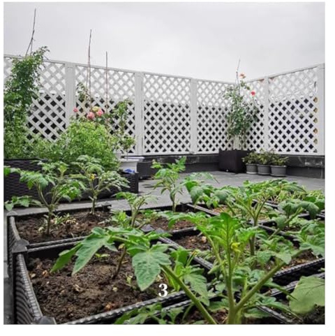 Brise-Vue décoratif extérieur, séparateur autoportant, Treillis pour Plantes, pour allée de Jardin et clôture de Jardin.(90x90cm)