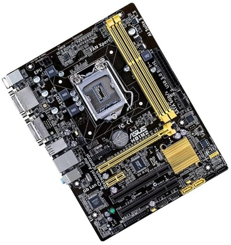 Carte Mère ASUS H81M2 LGA 1150 Format Micro ATX RAM DDR3 DVI-D/Divi-I