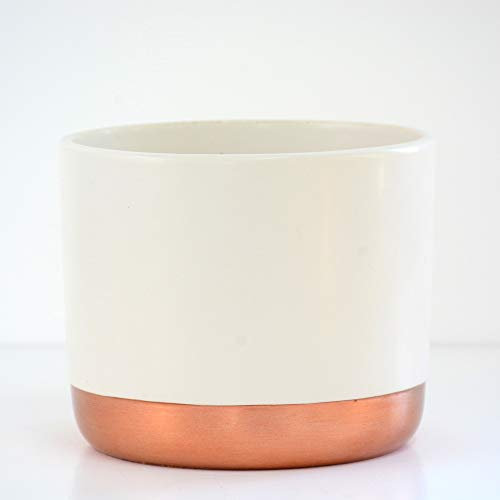Thompson & Morgan Two-Tone White & Rose Gold Medium Ceramic Plant Flower Pot Round Modern Design for Indoor House Plants Succulents 1 x Medium White & Rose Gold Ceramic Pot