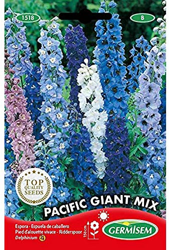 Germisem Sommer-Rittersporn