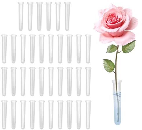 ZHTLTHZ 36 Stück ReagenzgläSer für Blumen mit Kappen 11x2.4cm, Wiederverwendbare Und Langlebige, Saatgutanbau BlumenröHrchen RöHrchen Plastik FüR BlumengeschäFte, Restaurants, CaféS, Schlafzimmer