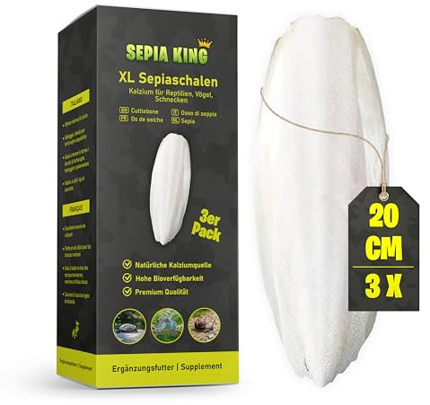 Sepia King - XL Sepiaschalen für Schildkröten, Vögel, Schnecken - Extra Dicke, große Sepia Schalen, Futter und natürliches Kalzium - Wellensittich Spielzeug, Terrarium Zubehör - 100% Natürlich