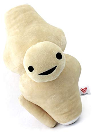 I Heart Guts Knee Joint Plush - Kneed for Speed - Knee Joint Stuffed Pillow Toy Bone, Knee Surgery Gifts - Doctors, Physical Therapists & Orthopedic Surgeon Gifts