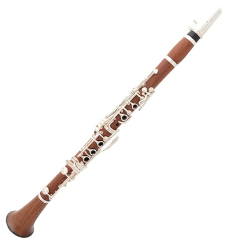 Klarinette Instrument B-Dur-Mahagonikorpus, Versilbertes Klarinetteninstrument Mit 17 Tasten, Tragbarem Koffer Und Zubehör