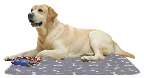 Waschbare Pads Für Welpen - Trainingsmatte Für Hunde Von 60 x 40 cm 23,62 Zoll, Wiederverwendbare Matte, Schnell Absorbent Anti-Slip Haustiermatten