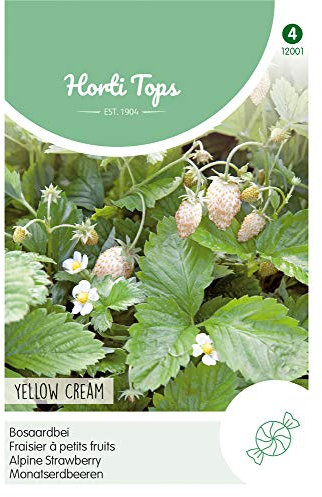 Hortitops 12001 Mois Fraises Yellow Cream (Graines de fraises)