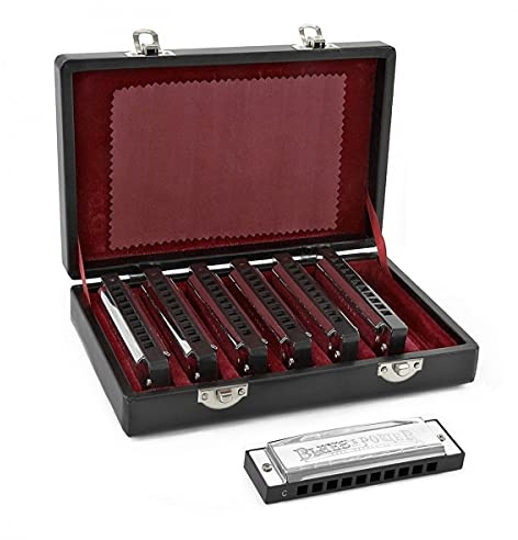 Set de armónica diatónica de 7 piezas para principiantes Silver con estuche