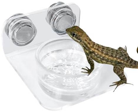 Ledge d'alimentation pour reptiles - Plat magnétique puissant gecko, bol de nourriture surélevé | Support d'eau pour terrarium, support d'alimentation pour lizard, station d'alimentation pour reptiles
