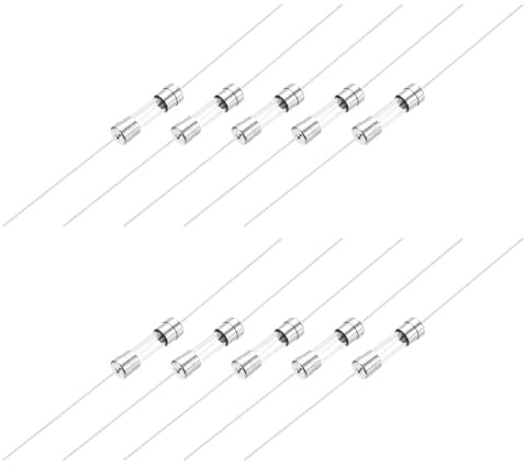 QUARKZMAN 10A 250V Fusibile in Vetro 5x20mm Fusibile a Tempo di Ritardo con Filo di Pb UL Elencato Fusibile a Lenta Soffiata per Elettrodomestici (Confezione 10)