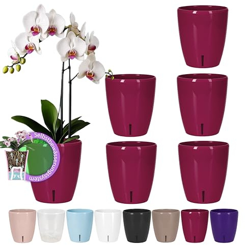 Santino 6er-Set Selbstbewässernder Topf mit Dochtsystem und Wasserstandsanzeige für den Innenbereich, Orchideentopf D 12cm (Purple, 1,3L)