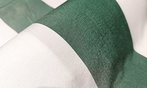 Home Tresor - Tenda da Sole per Esterno con Anelli e Ganci | Tenda da Sole Fantasia a Righe Bianco Verde per Verande Balconi Camper Misura cm. (280 x 300)