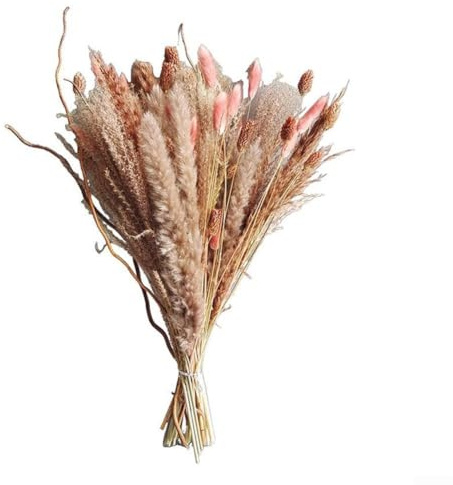Fiori secchi, 1 mazzo di fiori secchi fiori secchi bouquet di fiori luminosi, per la decorazione della casa autunnale decorazione per ghirlande e decorazioni per torte (B)