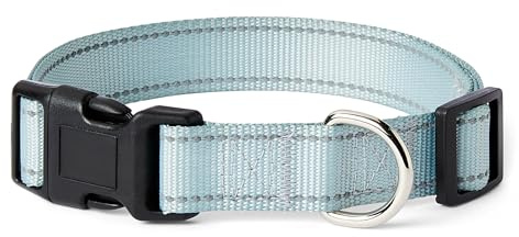Amazon Basics - Collare Riflettente e Regolabile per Cani, con Anello a D in Metallo e Fibbia a Sgancio Rapido, Taglia L, Blu