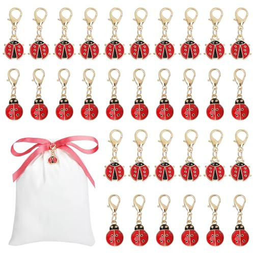 XRVRILE 32 Piezas Llaveros Mariquita Mini Amuleto de Suerte, 2 Diseños, Colgantes Pequeños para Calendario de Adviento, Regalos Navidad, Fiestas y Manualidades con Bolsa de Algodón