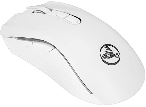 Bewinner Wireless Gaming Mouse with RGB Backlit, 4800DPI, 2.4G Wireless, Ergonomic Design, White