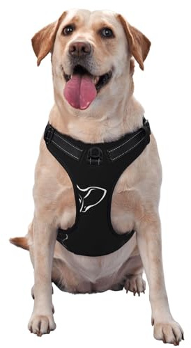 Hundegeschirr mit französischer Bulldogge, bedruckt, Schnellverschluss, reflektierend, Haustierweste mit 2 Schnellverschluss-Schnallen, 4 Größen, M, ideal für Spaziergänge und Wanderungen im Freien