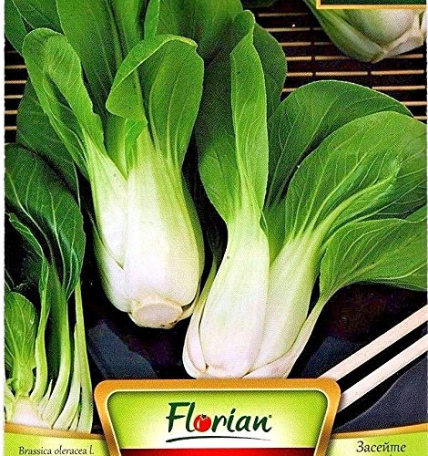 AGROBITS BGE - PAK CHOI - 250 GH QUALITA 'DI VERDURE / 597