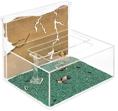 AntHouse - Natural Sand Ant Farm | Kit L (Sandwich + Forage Box)