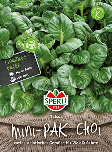 81173 Sperli Premium Pak Choi Samen | Zartes Asia Gemüse | PakChoi Saatgut | Pak Choi Samen Winterhart | Tatsoi Samen
