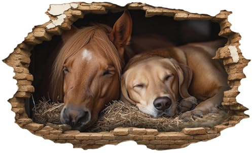 Samunshi® Wandtattoo Wandriss mit Pferd und Hund in Stall Fenster in andere Welt Portal Wanddekoration Wandsticker für Kinderzimmer Wohnzimmer Wanddeko Küche 30x18cm
