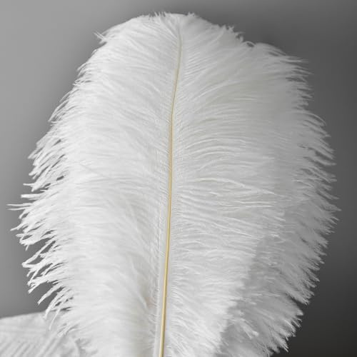 Weiße Straußenfedern 25-30 cm, 10 Stück - Reine Natürliche Federn für Romantische Hochzeitsdekoration, Tischdeko, Brautstrauß und Elegante Party Deko